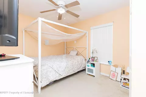7299 County Line, Spring Hill, FL 34606 photo 32