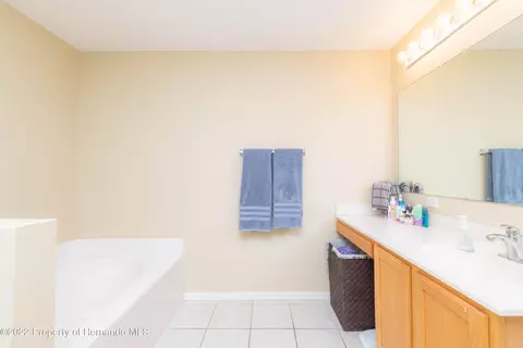 7299 County Line, Spring Hill, FL 34606 photo 17
