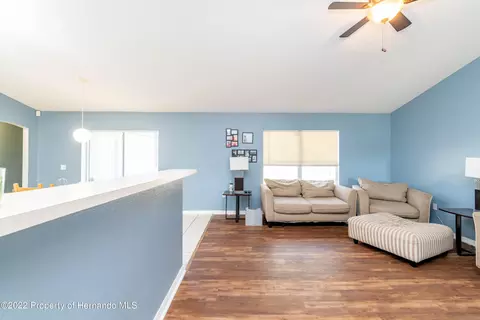 7299 County Line, Spring Hill, FL 34606 photo 28