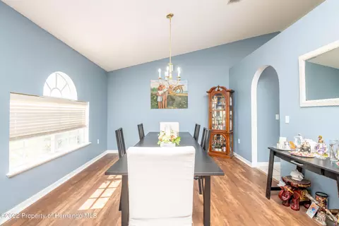 7299 County Line, Spring Hill, FL 34606 photo 21