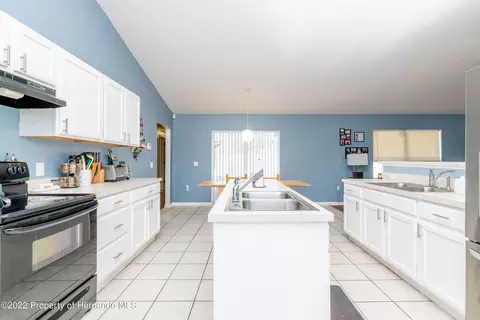 7299 County Line, Spring Hill, FL 34606 photo 24