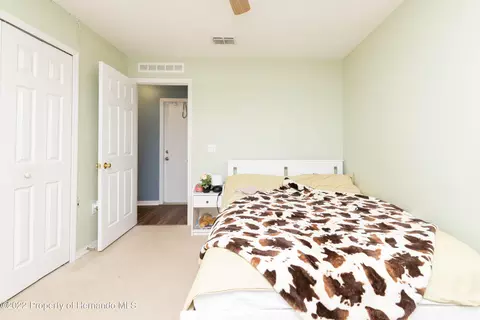 7299 County Line, Spring Hill, FL 34606 photo 35