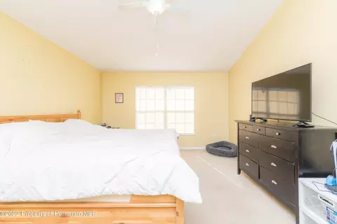 7299 County Line, Spring Hill, FL 34606 photo 14