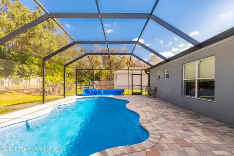 7299 County Line, Spring Hill, FL 34606 photo 10