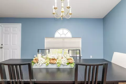 7299 County Line, Spring Hill, FL 34606 photo 22
