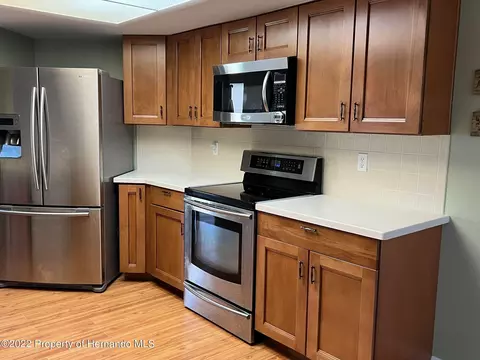 1339 Dill, Spring Hill, FL 34608 photo 9