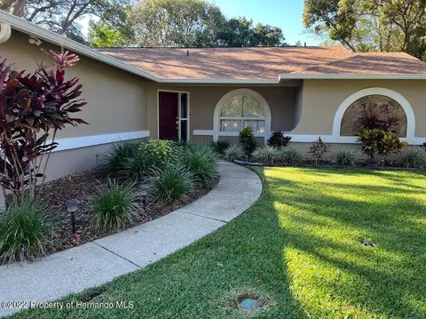 1339 Dill, Spring Hill, FL 34608 photo 30