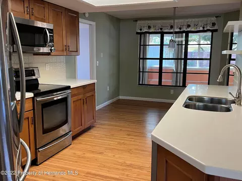 1339 Dill, Spring Hill, FL 34608 photo 12