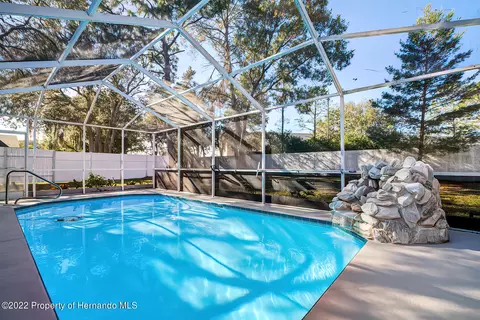 4411 Berkeley Hts, Spring Hill, FL 34606 photo 42