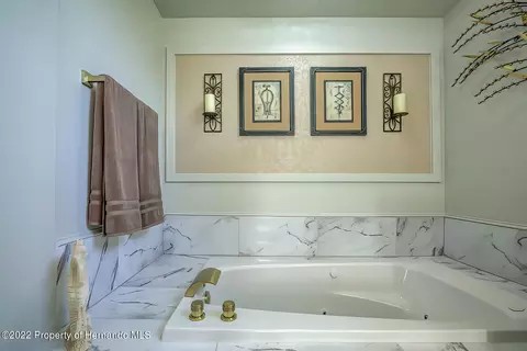 4411 Berkeley Hts, Spring Hill, FL 34606 photo 34