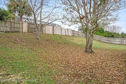 5243 Fairhaven, Spring Hill, FL 34608 photo 33