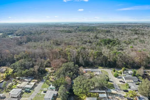 6421 Theresa, Weeki Wachee, FL 34607 photo 44