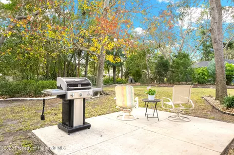 6148 Turnburry, Spring Hill, FL 34606 photo 34