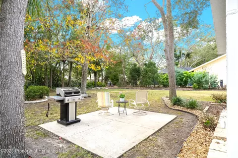 6148 Turnburry, Spring Hill, FL 34606 photo 35