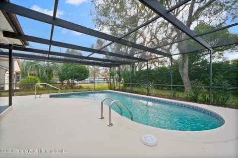 8366 Sunflower, Spring Hill, FL 34606 photo 33