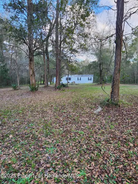 12173 Cr 681, Webster, FL 33597 photo 21