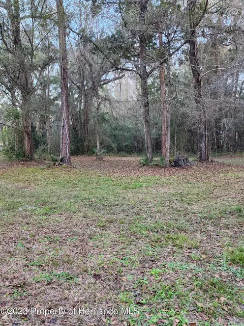 12173 Cr 681, Webster, FL 33597 photo 26
