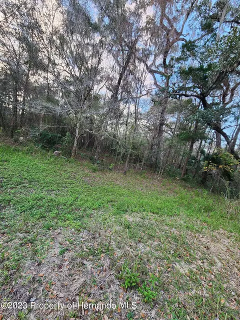 12173 Cr 681, Webster, FL 33597 photo 6