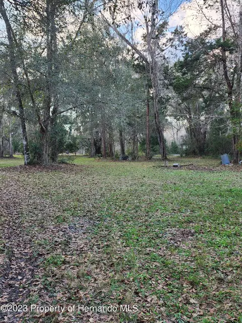 12173 Cr 681, Webster, FL 33597 photo 15