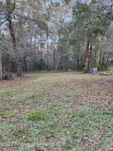 12173 Cr 681, Webster, FL 33597 photo 25