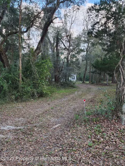 12173 Cr 681, Webster, FL 33597 photo 4
