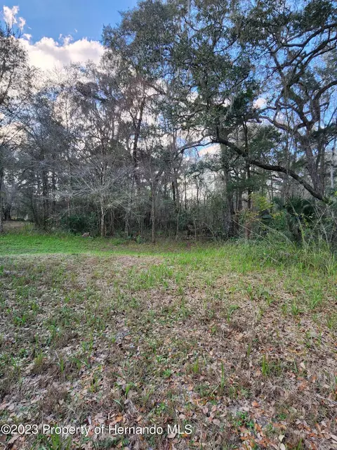 12173 Cr 681, Webster, FL 33597 photo 13