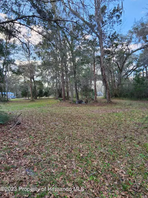 12173 Cr 681, Webster, FL 33597 photo 19