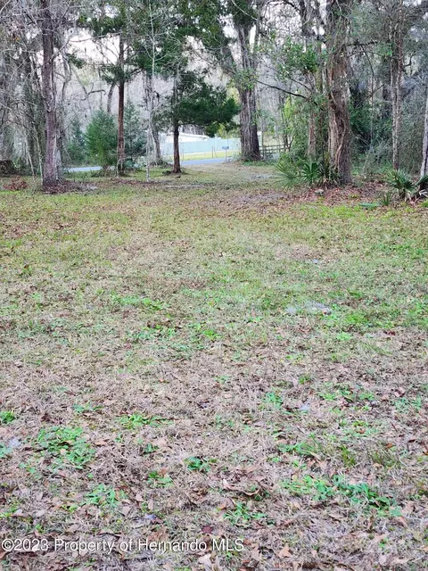 12173 Cr 681, Webster, FL 33597 photo 24