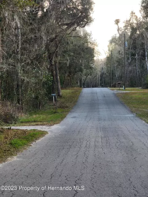 12173 Cr 681, Webster, FL 33597 photo 3