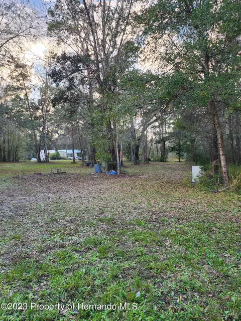 12173 Cr 681, Webster, FL 33597 photo 14