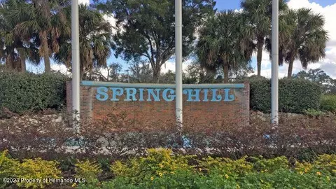 5290 Beachview, Spring Hill, FL 34606 photo 3
