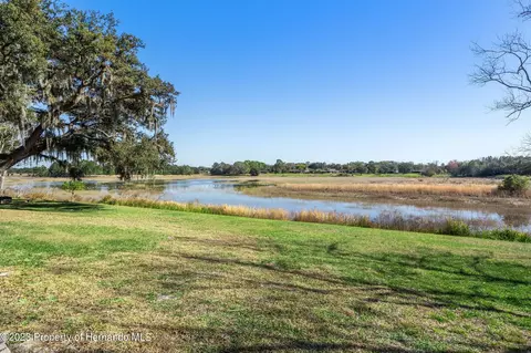 8350 Dora, Spring Hill, FL 34608 photo 39