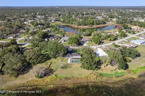 8350 Dora, Spring Hill, FL 34608 photo 43