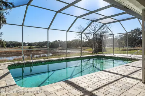 8350 Dora, Spring Hill, FL 34608 photo 36