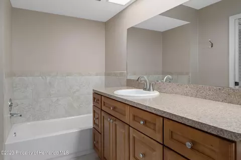 8350 Dora, Spring Hill, FL 34608 photo 21