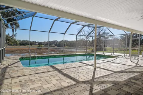 8350 Dora, Spring Hill, FL 34608 photo 35