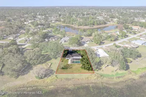 8350 Dora, Spring Hill, FL 34608 photo 44