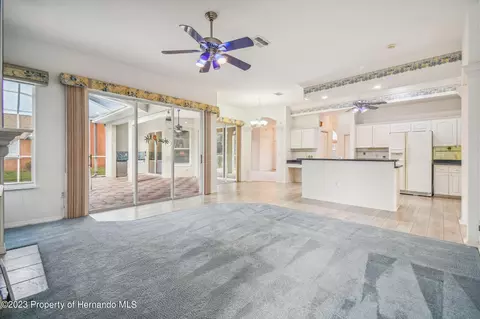 3528 Conifer, Spring Hill, FL 34609 photo 22