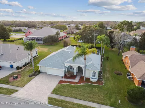3528 Conifer, Spring Hill, FL 34609 photo 39