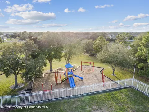 3528 Conifer, Spring Hill, FL 34609 photo 44