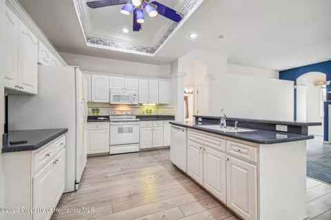 3528 Conifer, Spring Hill, FL 34609 photo 19