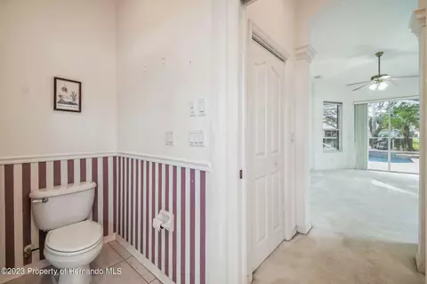 3528 Conifer, Spring Hill, FL 34609 photo 33