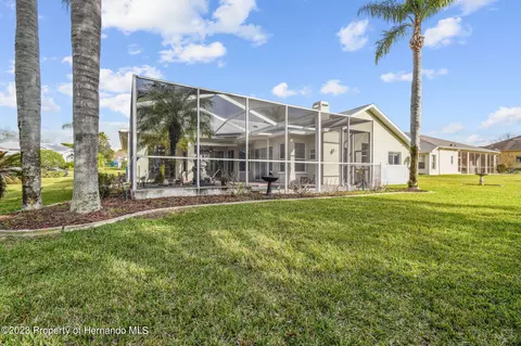 3528 Conifer, Spring Hill, FL 34609 photo 12