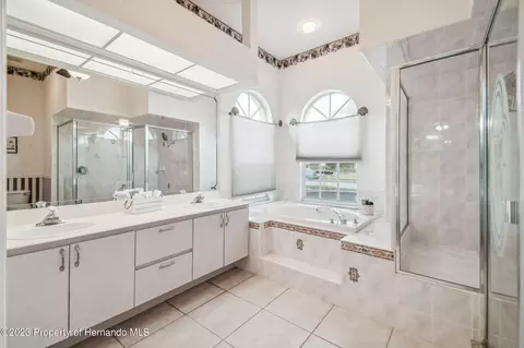 3528 Conifer, Spring Hill, FL 34609 photo 32