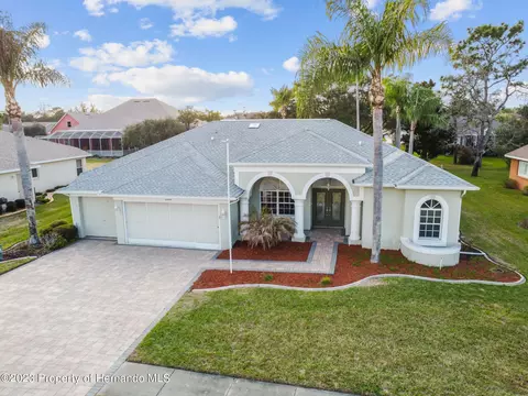 3528 Conifer, Spring Hill, FL 34609 photo 37