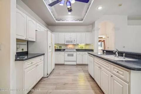3528 Conifer, Spring Hill, FL 34609 photo 20