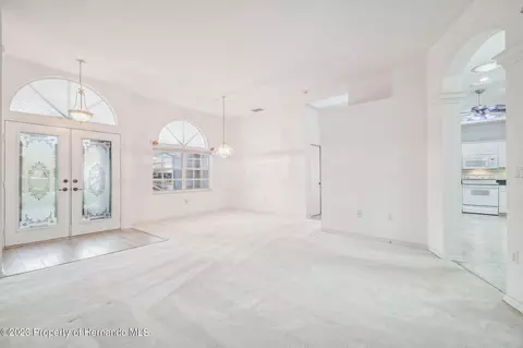 3528 Conifer, Spring Hill, FL 34609 photo 14