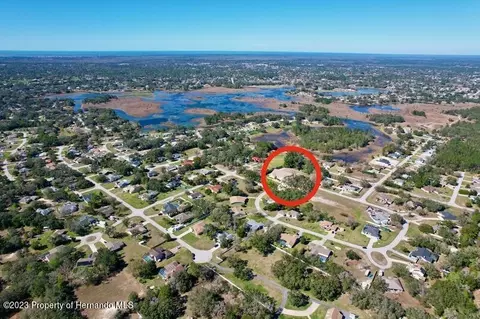 9498 Lorendale, Spring Hill, FL 34608 photo 46