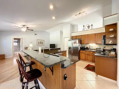 9498 Lorendale, Spring Hill, FL 34608 photo 21