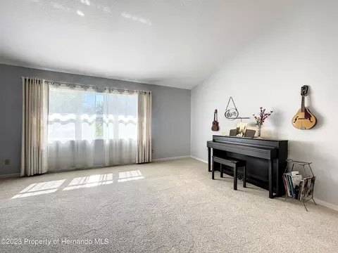 9498 Lorendale, Spring Hill, FL 34608 photo 11